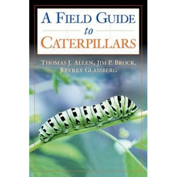 Caterpillars in the Field and Garden: A Field Guide to the Butterfly Caterpillar - Picture 1 of 4